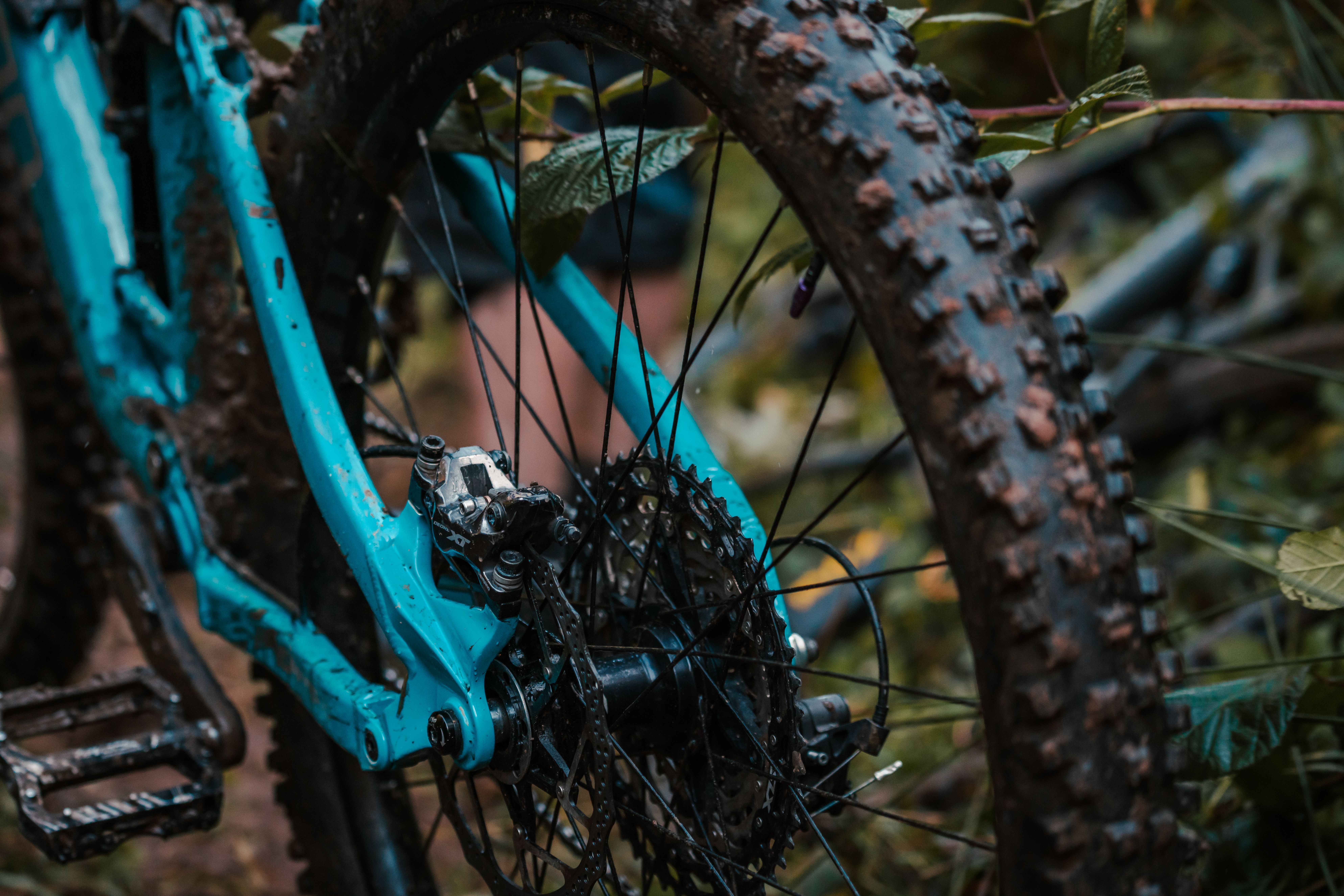 TIRES & TUBES